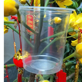 Ly nhựa trơn pp 200ml  ( 1 cây 50 cái)