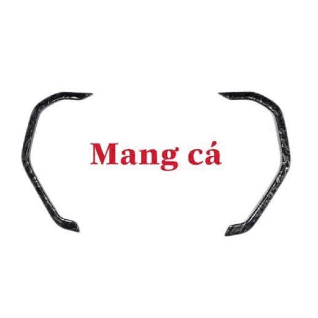 Ốp Mang Cá Xe Ford Everest 2025-23 Mẫu Màu Đen Mờ Cao Cấp