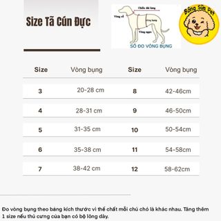 TÃ VẢI SIMPSON QUẤN BỤNG CHO CÚN ĐỰC