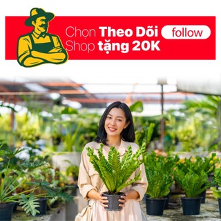 100 CON ĐINH ỐC VẶN NỐI BẦU ƯƠM CÂY V6