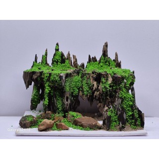  layout đảo bay cho bể cá thủy sinh  302020 cm 