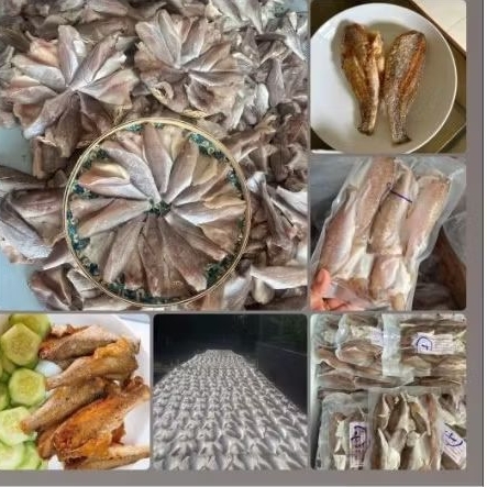 Đù 1 nắng Cần Giờ  khay 500g. (giao hỏa tốc TPHCM)