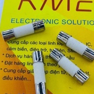 Cầu chì sứ 5x20mm 1A (5 Cái)