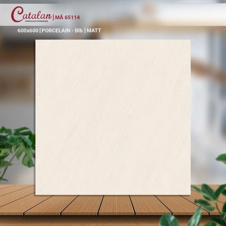 Gạch lát nền catalan kích thước 60x60cm-Gạch lát nền phòng khách,bếp,hành lang(Kho SG)