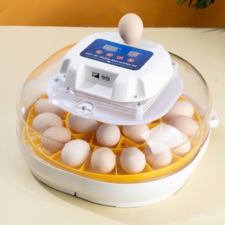 (mẫu mới 2025) Máy Ấp Trứng Ánh Dương 22 trứng gà-vịt-ngan ( i24)