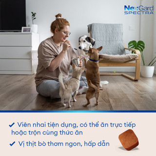 [FREE QUÀ TẶNG] [Combo 03 hộp 9 viên] NexGard SPECTRA Viên nhai mềm phòng nội,ngoại ký sinh cho Chó