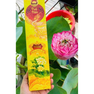 Bột thảo dược phong thủy Tuệ Tâm