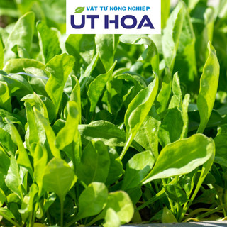 Phân Bón SIÊU RA RỄ UH Acid Humic Hữu Cơ - Rễ trắng bầu, cây mập khoẻ, lá xanh dày