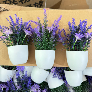 Chậu cây hoa oải hương 18cm lavender bằng nhựa kèm chậu trắng trang trí kệ bàn làm việc decor phòng ngủ