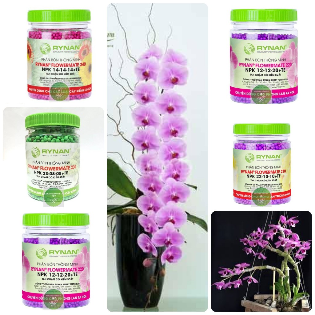 Phân Tan Chậm FLOWERMATE 200 (NPK 31-08-08): Chuyên dùng cho phong lan con