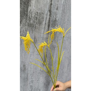 Bông Lúa Giả decor -  Cành lúa vàng trĩu bông nhiều kích thước.