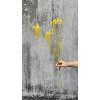 Bông Lúa Giả decor -  Cành lúa vàng trĩu bông nhiều kích thước.