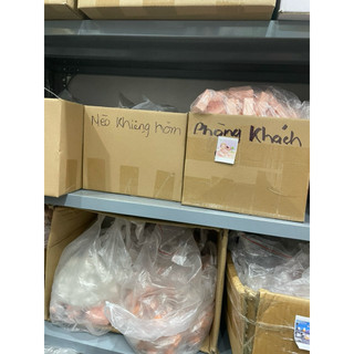Mô hình mèo khiêng hòm, stellariva