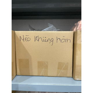 Mô hình mèo khiêng hòm, stellariva