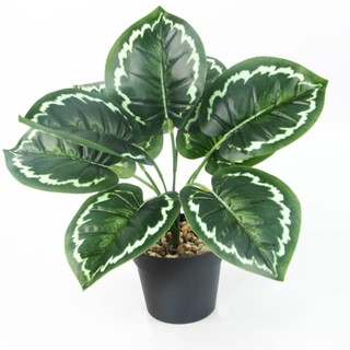Cây giả trang trí, cây đuôi công decor nhà cửa, tiểu cảnh, bụi cây, tường cỏ, ban công, chậu cây