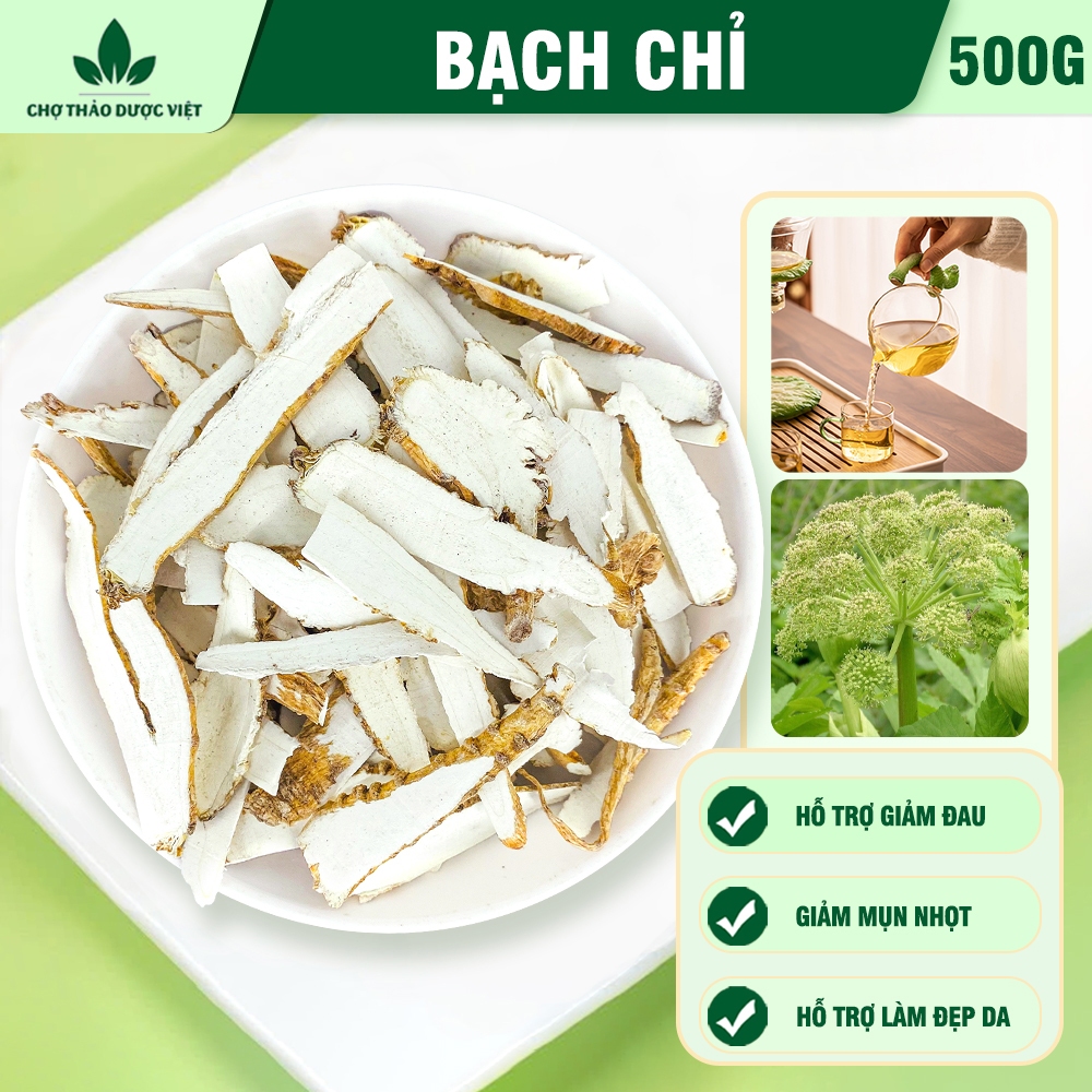 Bạch chỉ khô 500g, thái lát mỏng, trắng, thơm, hỗ trợ sức khỏe - Chợ Thảo Dược Việt