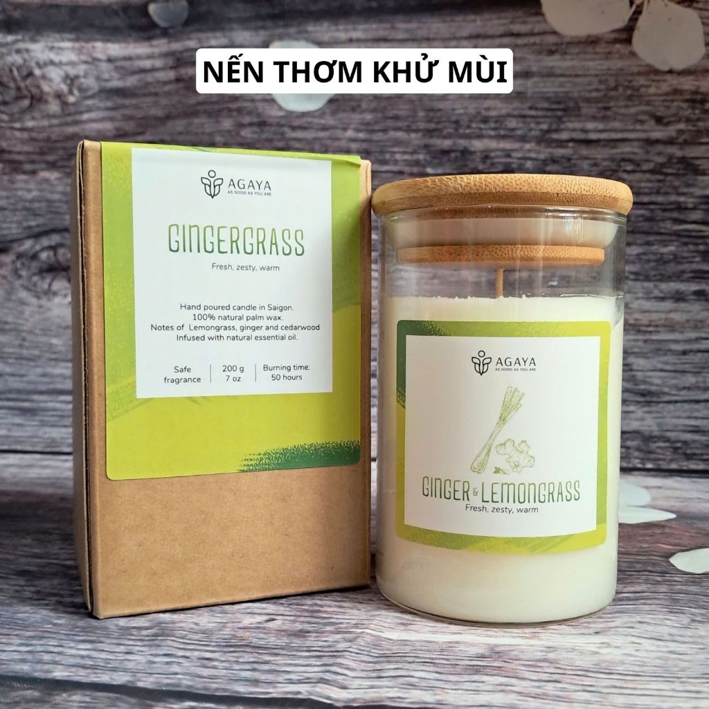 Nến thơm khử mùi GINGERGRASS  Agaya Candle Cup hương sả chanh gừng