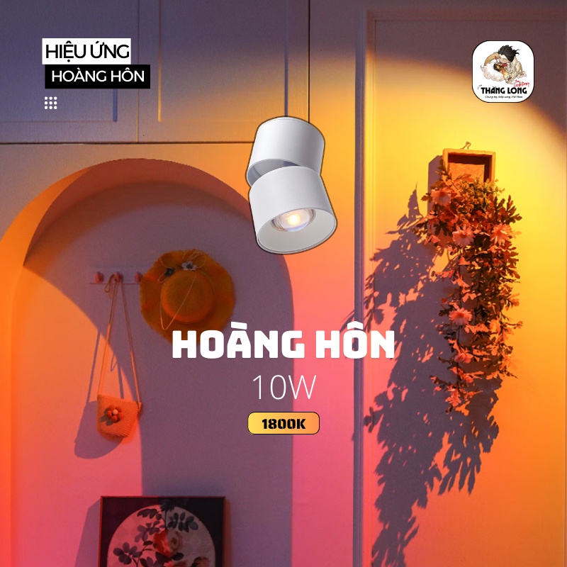 Bộ đèn Ốp Nổi Lon Hoàng Hôn Spotlight (by MD Led Lighting), (công suất: 10W)