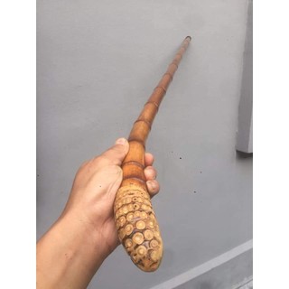 Gậy gốc trúc tự nhiên