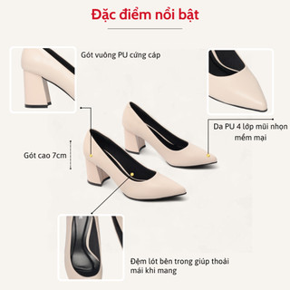 Giày Cao Gót 7cm Đế Vuông Mũi Nhọn Basic Pixie P159