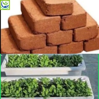   Combo 5 Chậu+5 viên Sơ dừa  Chậu nhựa chữ nhật nhật kèm đất nén sơ dừa dùng trồng rau,hoa cây cảnh kt 48x20x16cmh 