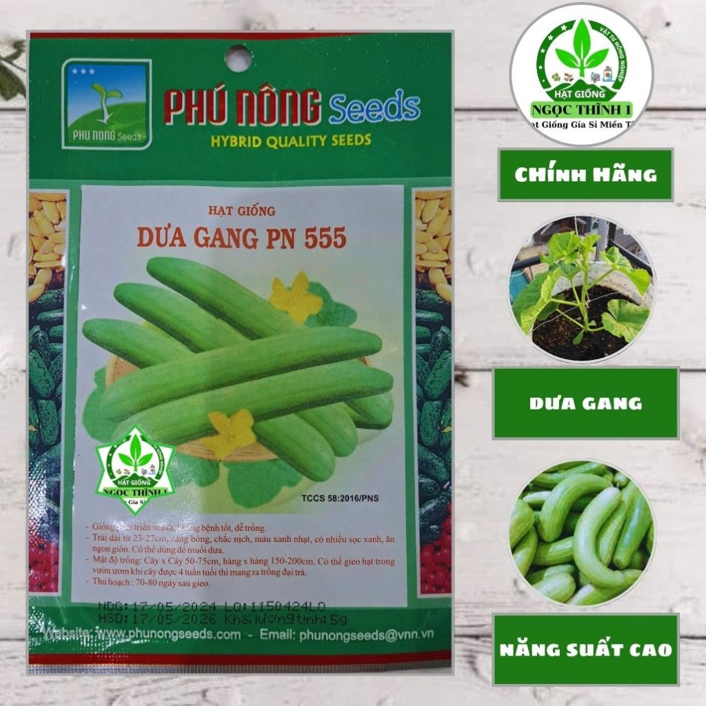 Hạt Giống Dưa Gang PN 555 (Muối Dưa) PHÚ NÔNG (GÓI 5gr) - Vỏ màu xanh nhạt, nhiều sọc xanh, giòn