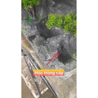 hòn non bộ có thác nước