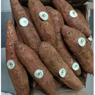 TOÀN QUỐC -Thùng 5kí khoai mật VIP- chuẩn Tà nung Đà Lạt