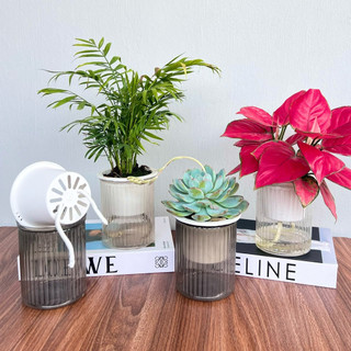 🔥⚡️RẺ VÔ ĐỊCH💥COMBO 2 Bình thuỷ sinh trồng cây thông minh, chậu tự tưới trồng cây để bàn kích thước 11x13cm