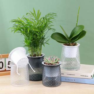 🔥⚡️RẺ VÔ ĐỊCH💥COMBO 2 Bình thuỷ sinh trồng cây thông minh, chậu tự tưới trồng cây để bàn kích thước 11x13cm