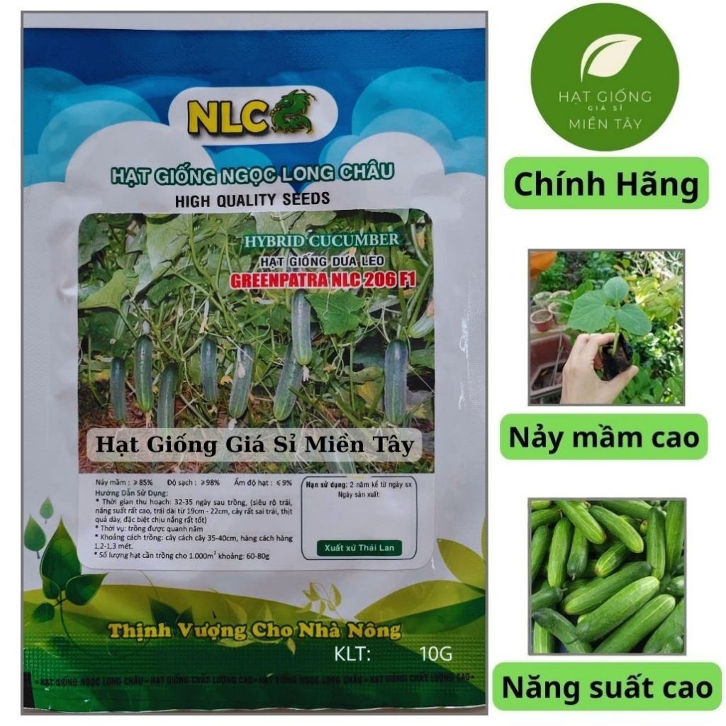 (Gói 10 gram) Hạt Giống Dưa Leo Greenpatra NLC 206 F1 NGỌC LONG CHÂU