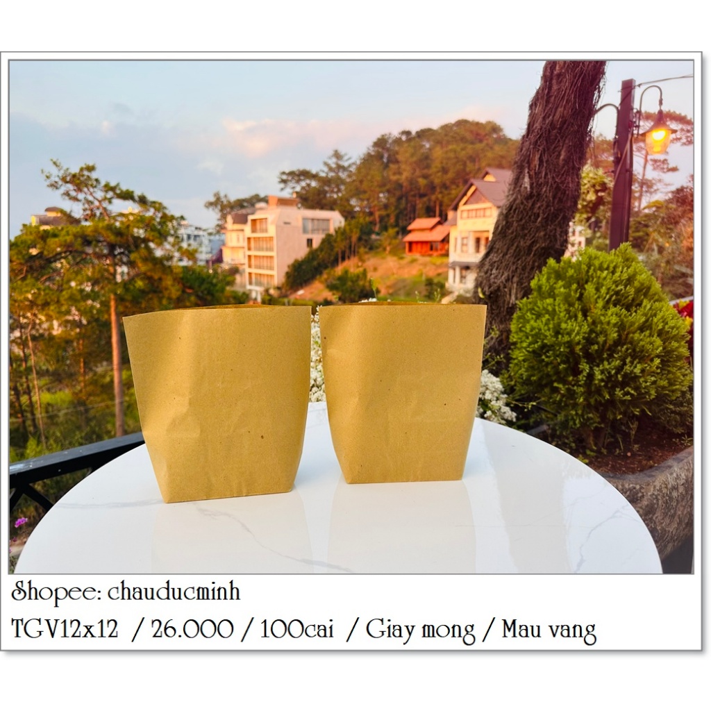 100 cái túi giấy mỏng size 12x12