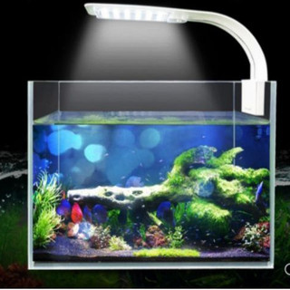 Đèn LED MINI cho bể cá thủy sinh - Đèn led nhỏ, gọn, tiện lợi cho bể cá mini
