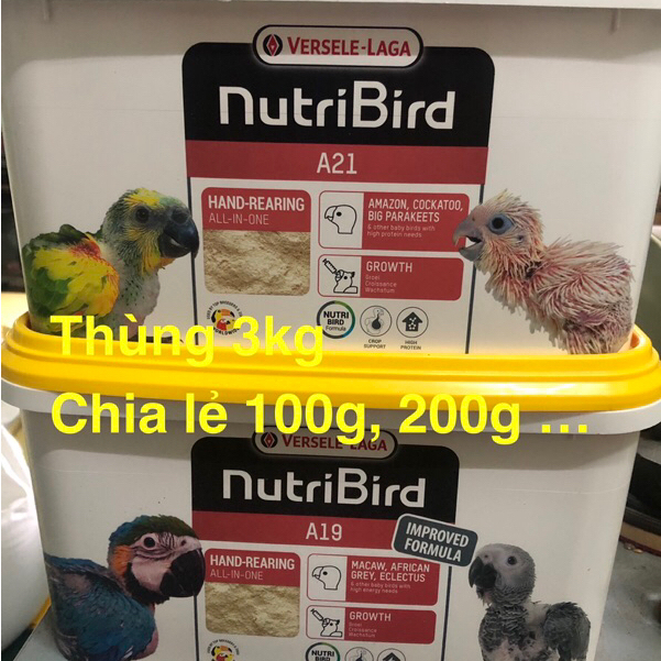 Thức Ăn Cho Vẹt Bột A21 túi 100gram date 04/2027