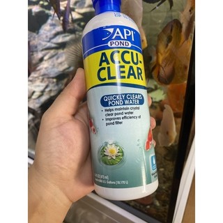 Dung dịch API ACCU-CLEAR làm trong nước hồ cá – an toàn cho cá và cây thủy sinh, hiệu quả nhanh