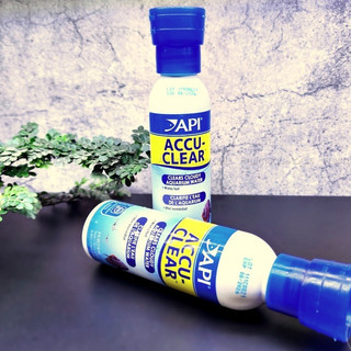 Dung dịch API ACCU-CLEAR làm trong nước hồ cá – an toàn cho cá và cây thủy sinh, hiệu quả nhanh