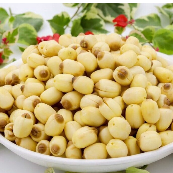 Hạt Sen Khô Huế, Hạt Sen Huế 1KG Phơi Khô Thơm Ngon Bùi Bở Nấu Chè, Chưng Yến, Nấu Cháo, Sữa Hạt