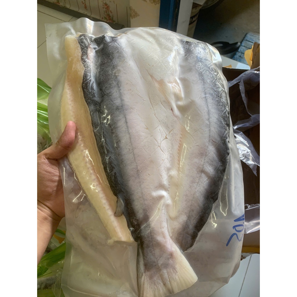 [Hoả Tốc] Cá Dứa Nguyên Con 1 nắng không ướp chuẩn xịn 2 sọc lưng gốc CẦN GIỜ