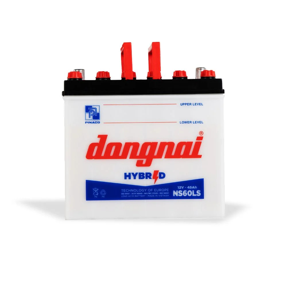 Ắc quy Hybrid Đồng Nai NS60LS 12V-45Ah (PINACO / Dong Nai Hybrid Battery NS60LS)