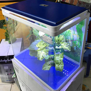 Bể đúc Q3500 - Bể kính nguyên khối, có sẵn hệ thống lọc, đèn LED – trang trí phòng khách, văn phòng