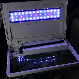 Bể đúc Q3500 - Bể kính nguyên khối, có sẵn hệ thống lọc, đèn LED – trang trí phòng khách, văn phòng
