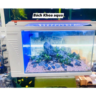 Bể đúc Q3500 - Bể kính nguyên khối, có sẵn hệ thống lọc, đèn LED – trang trí phòng khách, văn phòng