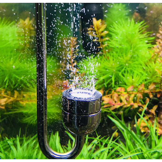 Tẩu Sủi CO2 INOX Siêu Mịn - Khuếch tán khí siêu mịn, hỗ trợ quang hợp, thiết kế nhỏ gọn, sang trọng