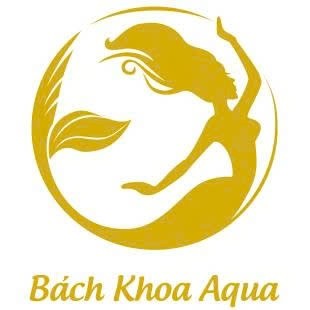 Nham thạch nhỏ trải nền bể cá - Dùng trải nền hồ cá cảnh, hỗ trợ lọc sinh học, giúp nền thông thoáng, dễ bám vi sinh