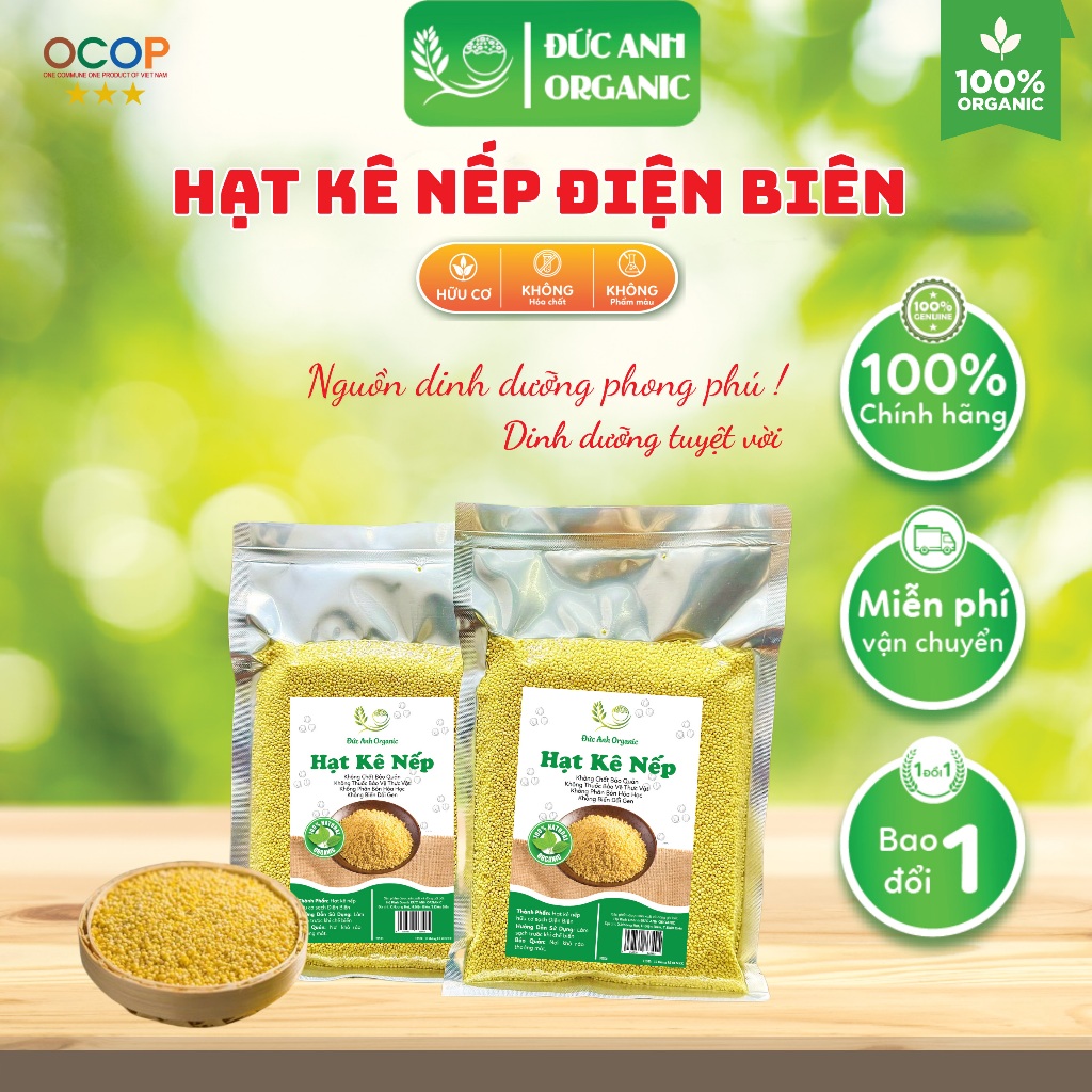 Hạt Kê Nếp Vàng Hữu Cơ Sạch Điện Biên