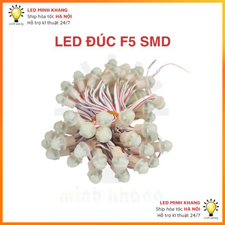 LED đúc Chống Nước F5 điện 12V (Dây 3 mét, 50 bóng) trang trí, quấn cây đường phố