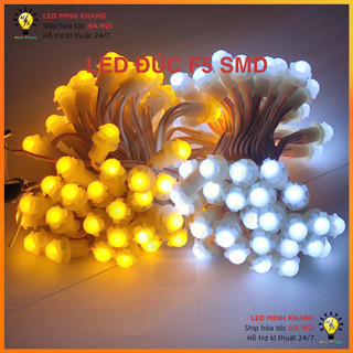 LED đúc Chống Nước F5 điện 12V (Dây 3 mét, 50 bóng) trang trí, quấn cây đường phố