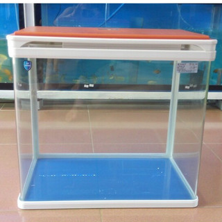 Bể Đúc CR Q3480