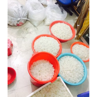 Hạt đác Bự 1kg tươi-hà nội