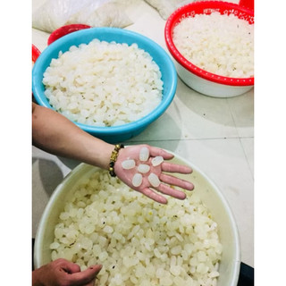 Hạt đác Bự 1kg tươi-hà nội